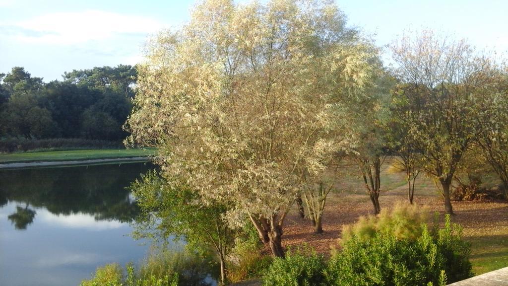 Studio Avec Vue Sur Lac Talmont-Saint-Hilaire エクステリア 写真