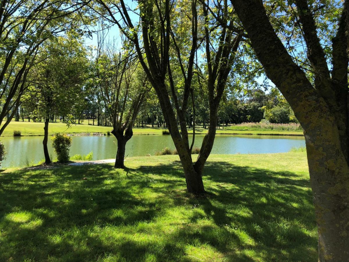 Studio Avec Vue Sur Lac Talmont-Saint-Hilaire エクステリア 写真